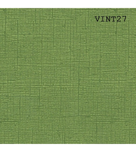 èphèmèria -Cardstock Vintage vert avocat