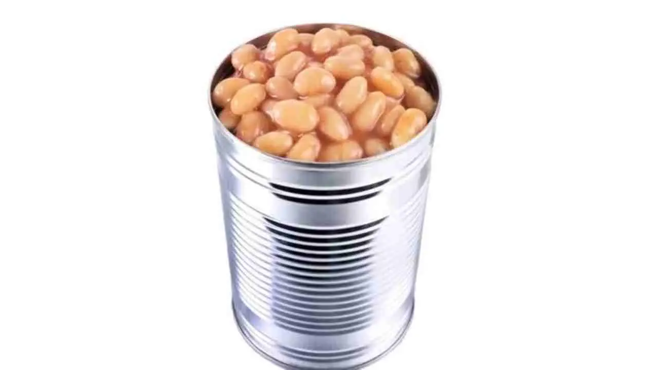 Immagine selezionata